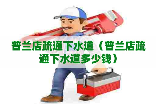 普兰店疏通下水道（普兰店疏通下水道多少钱）