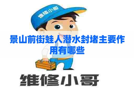 景山前街蛙人潜水封堵主要作用有哪些