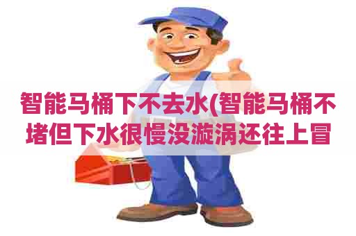 智能马桶下不去水(智能马桶不堵但下水很慢没漩涡还往上冒泡泡)