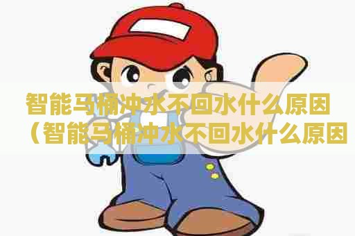 智能马桶冲水不回水什么原因（智能马桶冲水不回水什么原因造成的）