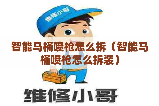 智能马桶喷枪怎么拆（智能马桶喷枪怎么拆装）