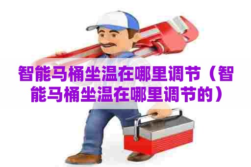 智能马桶坐温在哪里调节（智能马桶坐温在哪里调节的）