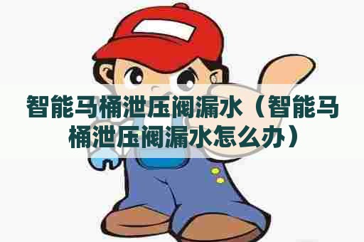 智能马桶泄压阀漏水（智能马桶泄压阀漏水怎么办）