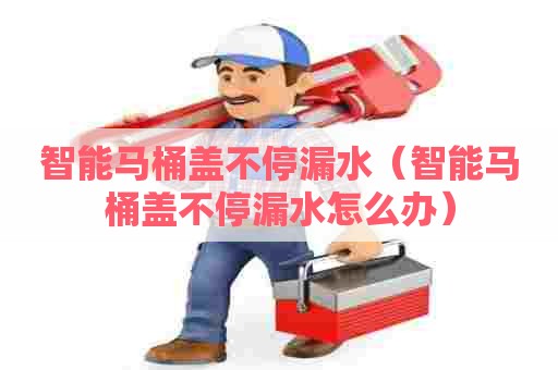 智能马桶盖不停漏水（智能马桶盖不停漏水怎么办）