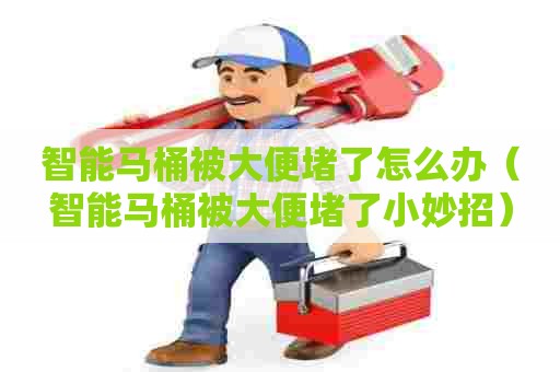 智能马桶被大便堵了怎么办（智能马桶被大便堵了小妙招）