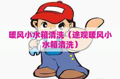 暖风小水箱清洗（途观暖风小水箱清洗）