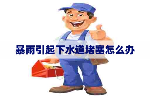 暴雨引起下水道堵塞怎么办