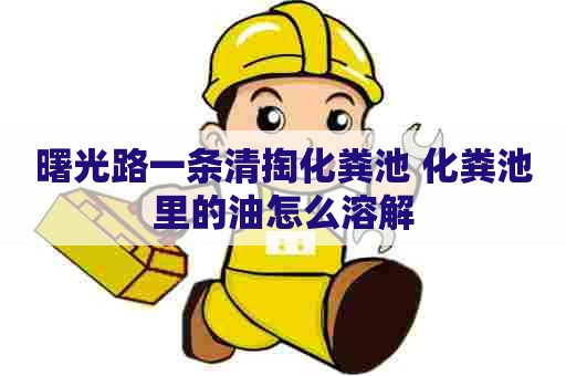 曙光路一条清掏化粪池 化粪池里的油怎么溶解