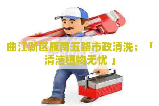 曲江新区雁南五路市政清洗：「清洁植物无忧 」