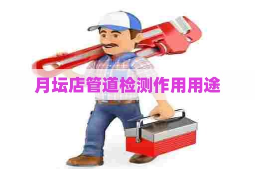 月坛店管道检测作用用途