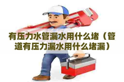 有压力水管漏水用什么堵(管道有压力漏水用什么堵漏) 有压力水管漏水用什么堵(管道有压力漏水用什么堵漏)