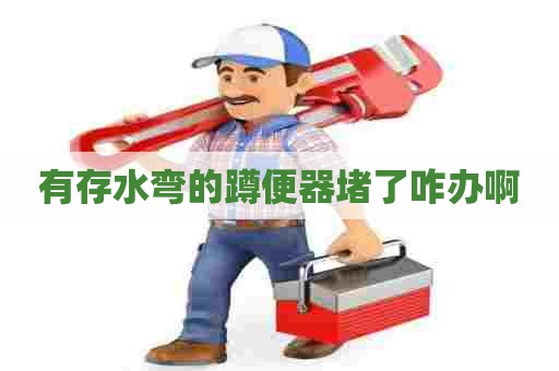 有存水弯的蹲便器堵了咋办啊