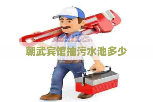 朝武宾馆抽污水池多少