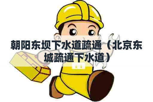朝阳东坝下水道疏通（北京东城疏通下水道）