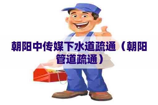 朝阳中传媒下水道疏通（朝阳管道疏通）