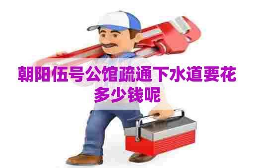 朝阳伍号公馆疏通下水道要花多少钱呢