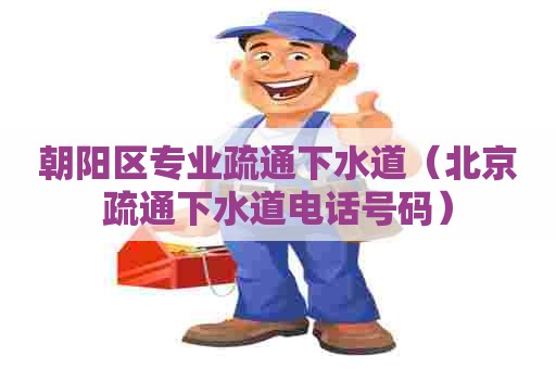 朝阳区专业疏通下水道（北京疏通下水道电话号码）