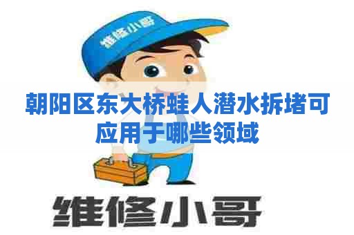 朝阳区东大桥蛙人潜水拆堵可应用于哪些领域
