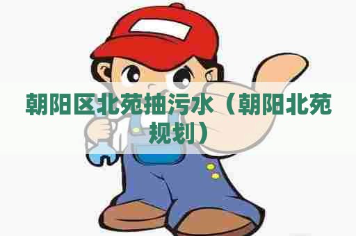 朝阳区北苑抽污水（朝阳北苑规划）