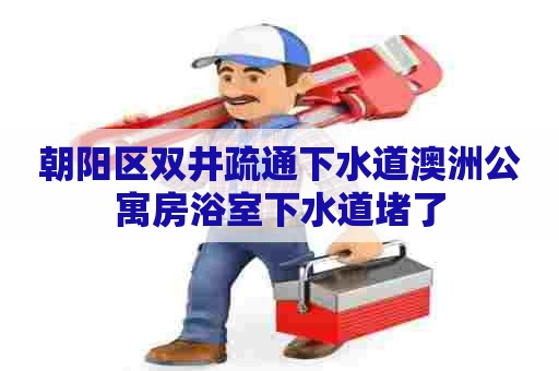 朝阳区双井疏通下水道澳洲公寓房浴室下水道堵了