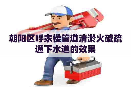 朝阳区呼家楼管道清淤火碱疏通下水道的效果