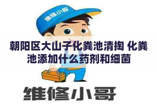 朝阳区大山子化粪池清掏 化粪池添加什么药剂和细菌