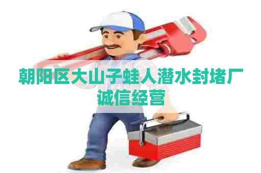 朝阳区大山子蛙人潜水封堵厂诚信经营