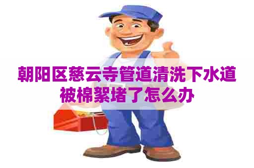 朝阳区慈云寺管道清洗下水道被棉絮堵了怎么办 朝阳区慈云寺管道清洗下水道被棉絮堵了怎么办