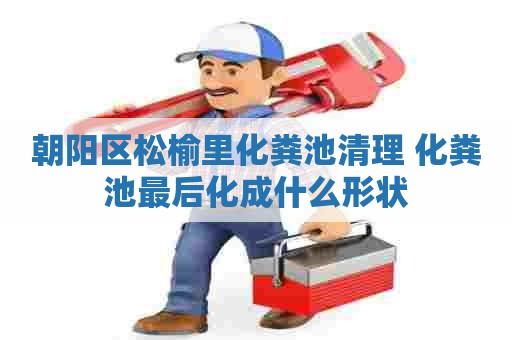 朝阳区松榆里化粪池清理 化粪池最后化成什么形状