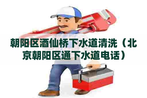 朝阳区酒仙桥下水道清洗(北京朝阳区通下水道电话) 朝阳区酒仙桥下水道清洗(北京朝阳区通下水道电话)