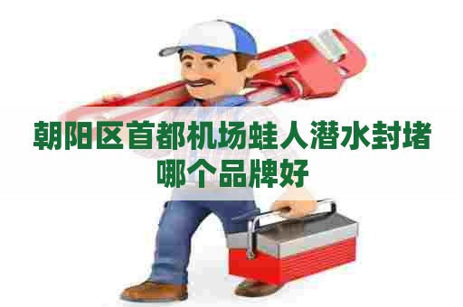 朝阳区首都机场蛙人潜水封堵哪个品牌好