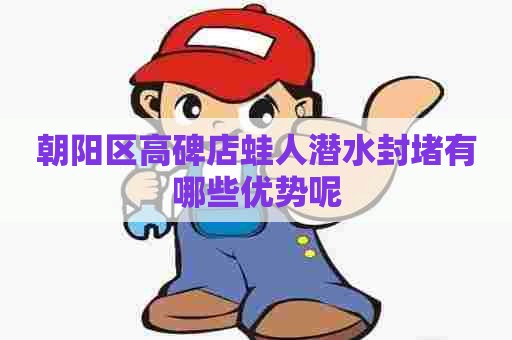 朝阳区高碑店蛙人潜水封堵有哪些优势呢