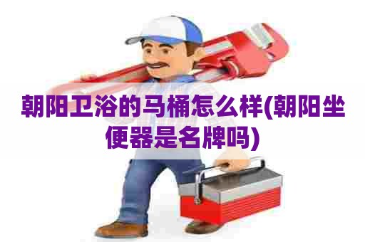 朝阳卫浴的马桶怎么样(朝阳坐便器是名牌吗)