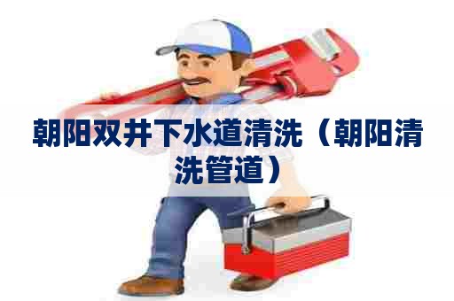 朝阳双井下水道清洗（朝阳清洗管道）