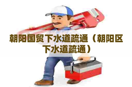 朝阳国贸下水道疏通（朝阳区下水道疏通）