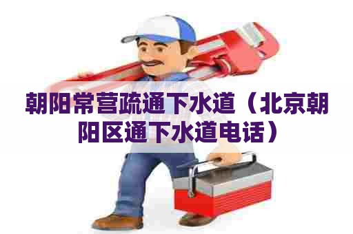 朝阳常营疏通下水道（北京朝阳区通下水道电话）