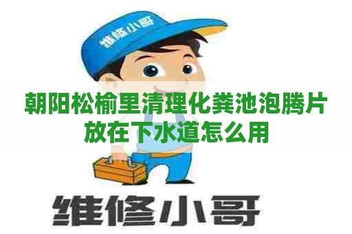 朝阳松榆里清理化粪池泡腾片放在下水道怎么用