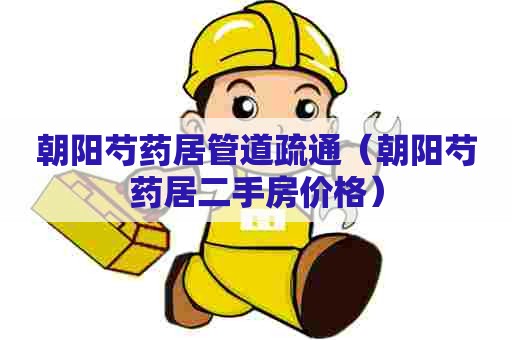 朝阳芍药居管道疏通(朝阳芍药居二手房价格) 朝阳芍药居管道疏通(朝阳芍药居二手房价格)