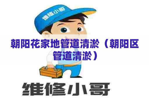 朝阳花家地管道清淤（朝阳区管道清淤）