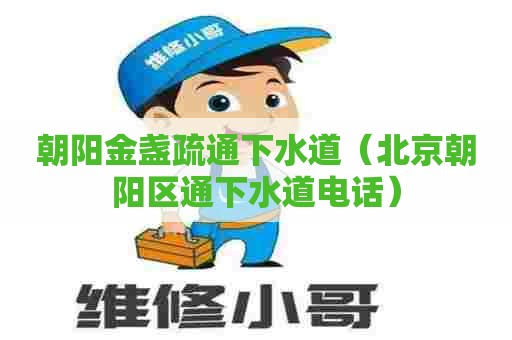 朝阳金盏疏通下水道(北京朝阳区通下水道电话) 朝阳金盏疏通下水道(北京朝阳区通下水道电话)