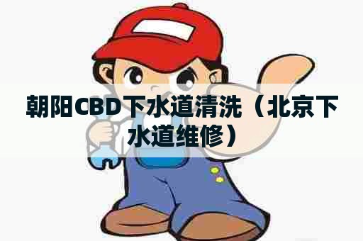 朝阳CBD下水道清洗（北京下水道维修）