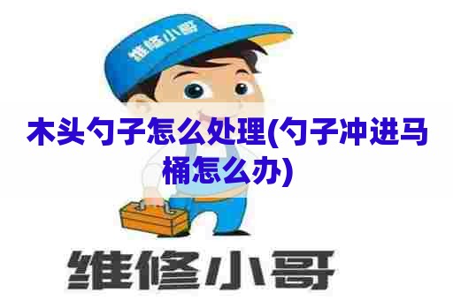 木头勺子怎么处理(勺子冲进马桶怎么办)