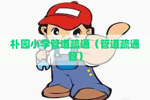 朴园小学管道疏通（管道疏通管）