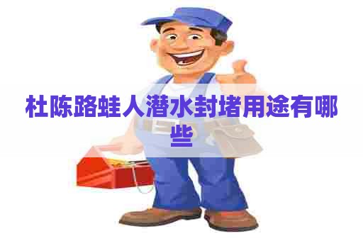 杜陈路蛙人潜水封堵用途有哪些