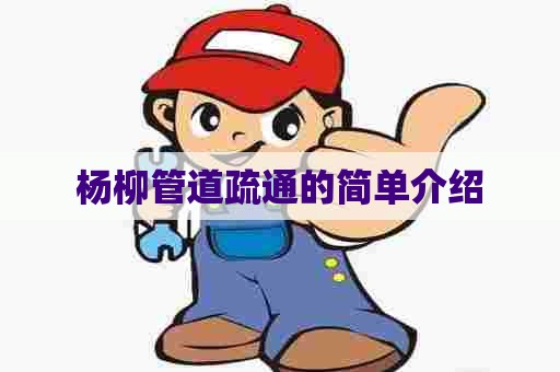 杨柳管道疏通的简单介绍 杨柳管道疏通的简单介绍