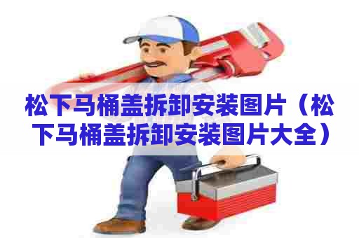 松下马桶盖拆卸安装图片（松下马桶盖拆卸安装图片大全）