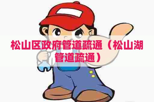 松山区政府管道疏通（松山湖管道疏通）