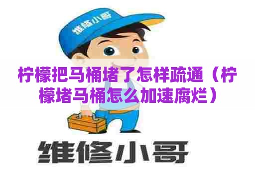 柠檬把马桶堵了怎样疏通（柠檬堵马桶怎么加速腐烂）