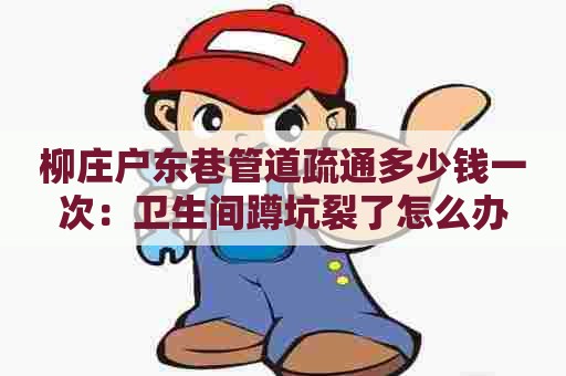 柳庄户东巷管道疏通多少钱一次：卫生间蹲坑裂了怎么办