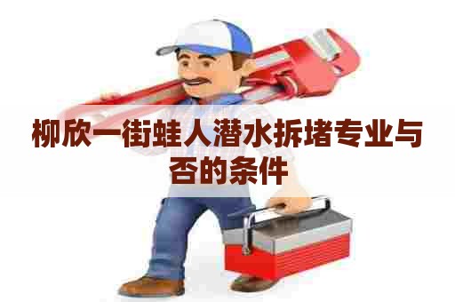 柳欣一街蛙人潜水拆堵专业与否的条件